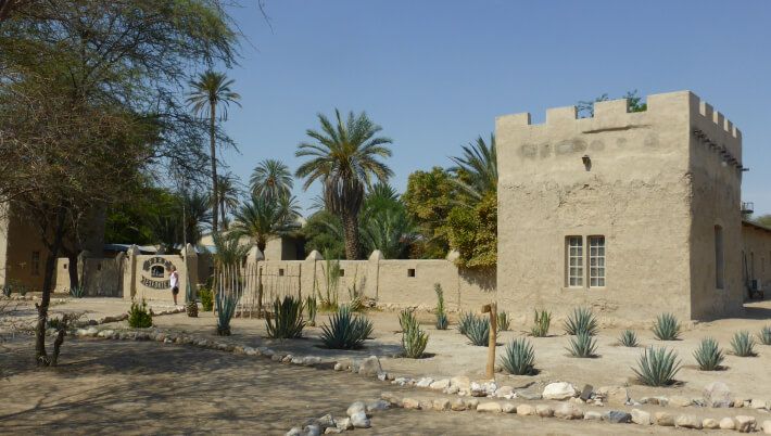 View of Fort Sesfontein from outside, showing part of the fort's structure with foreground plants and a backdrop of palms and other trees in the garden.